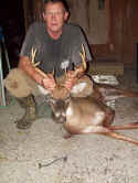 Deerpics 004 copy.jpg (247038 bytes)